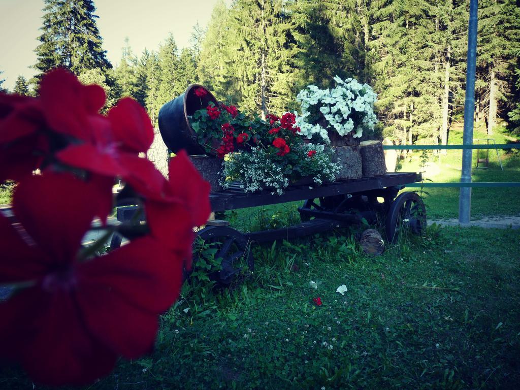 Baita Velon Vermiglio Buitenkant foto