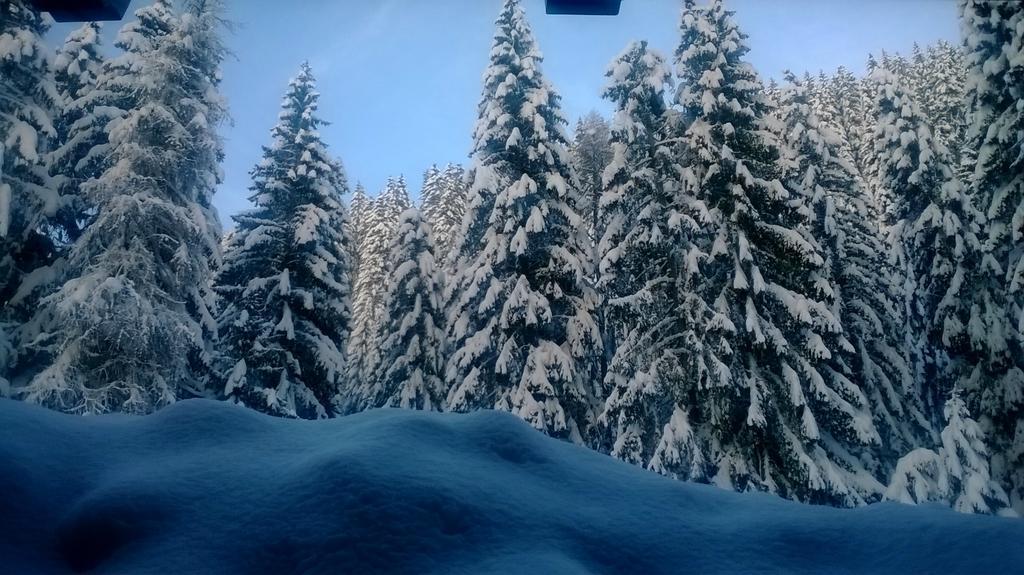 Baita Velon Vermiglio Buitenkant foto